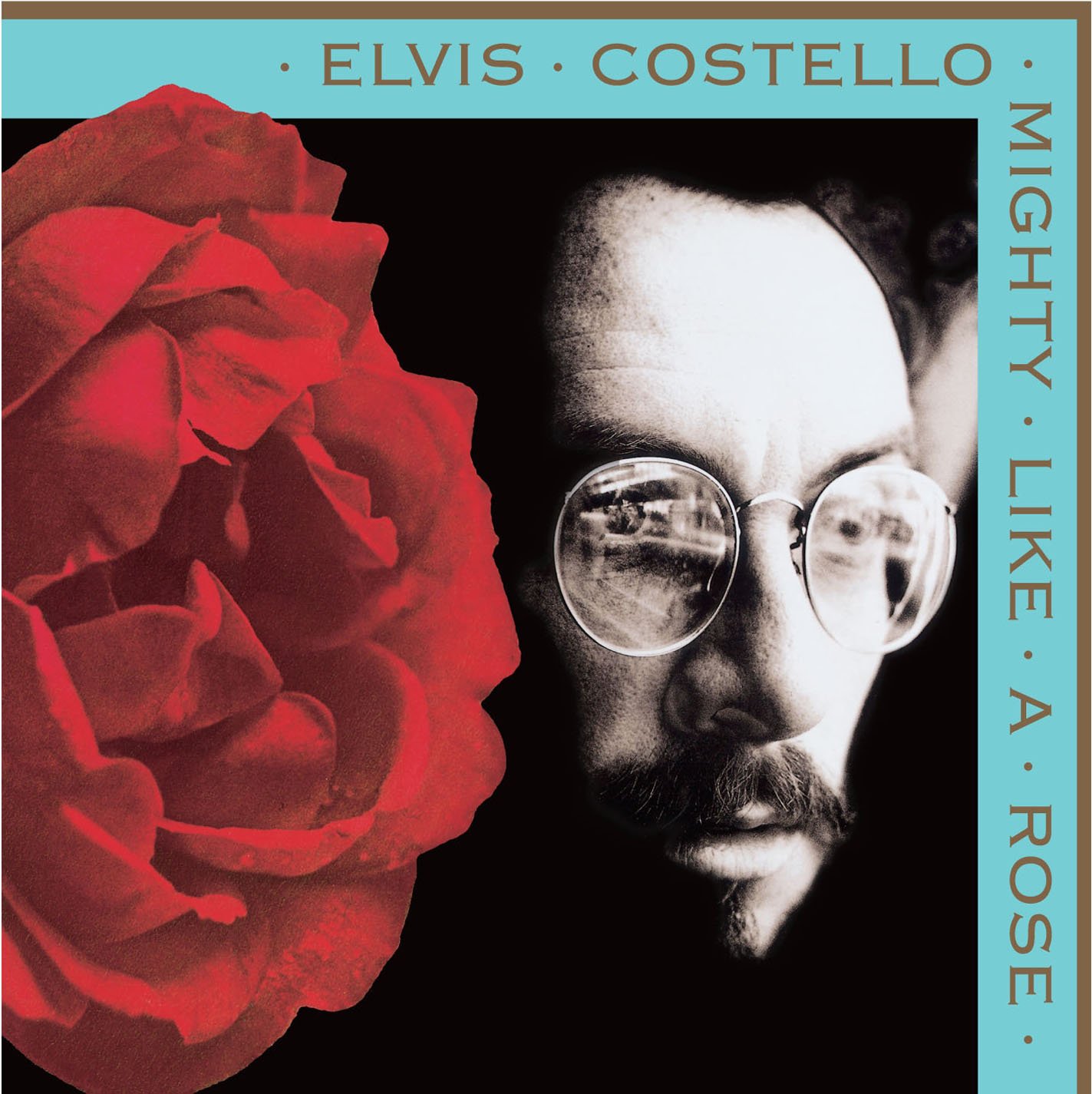 ELVIS COSTELLO - Mighty Like a Rose