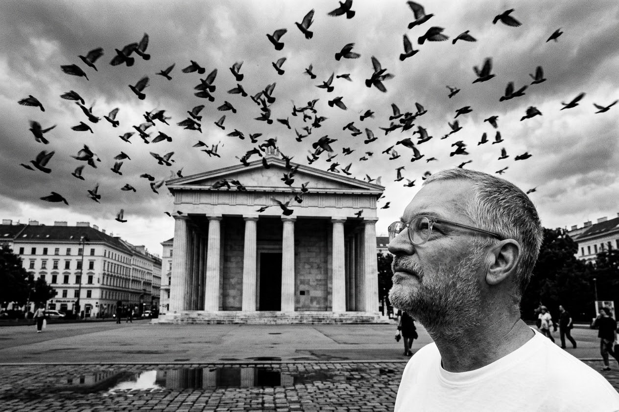 Bird with Birds